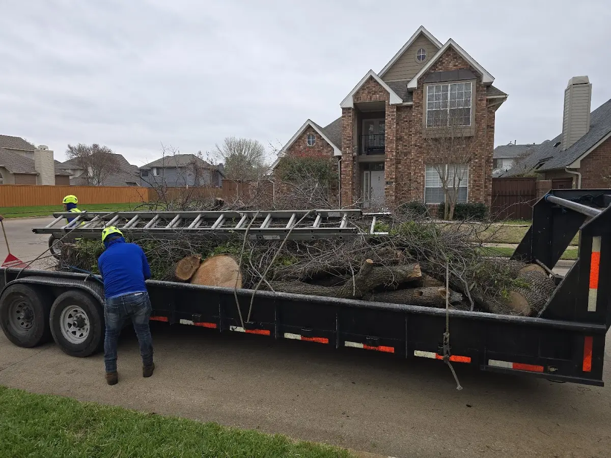 Expert Tree Fertilization with proper safety equipment in Manton